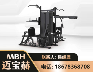 日喀则四人站训练器